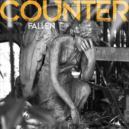 Fallen by Counter